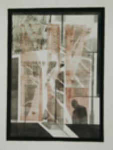 Stare drzewo pod moim oknem II