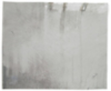 Bez tytułu  [Trawy]