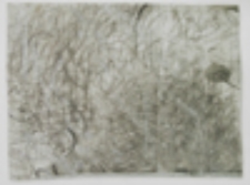 Bez tytułu [Spirale]