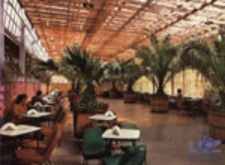 Zielona G&oacute;ra; W kawiarni "Palmiarnia"