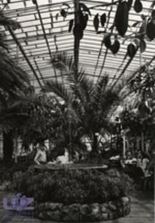 Zielona Góra; Wnętrze kawiarni "Palmiarnia"