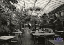 Zielona Góra; Kawiarnia "Palmiarnia" - wnętrze