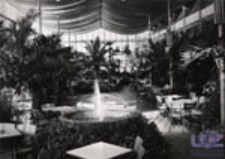 Zielona Góra; Wnętrze palmiarni w Parku Winnym, Kawiarnia-Klub