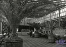 Zielona Góra; Wnętrze kawiarni "Palmiarnia"