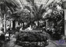 Zielona G&oacute;ra; Wnętrze kawiarni "Palmiarnia"