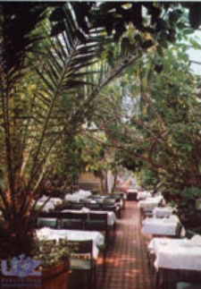 Zielona G&oacute;ra; Wnętrze kawiarni "Palmiarnia"