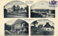 Śliwnik / Schadendorf