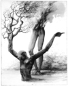 Bez tytułu [Metamorfoza]