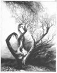 Bez tytułu [Pogrążanie]