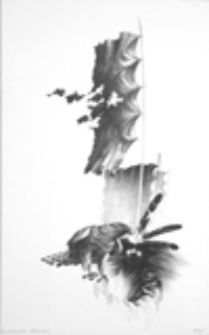 Anioł ostatniej posługi - Sokolnik Śmierci