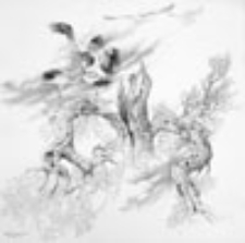 Wszystko co wiem o świecie