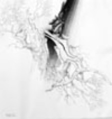 Przykładnie ukarany