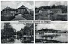 Żagań / Sagan; Herzoliches Schloß zu Sagan