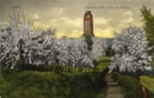 Gubin / Guben; Bismarckturm in der Baumblüte
