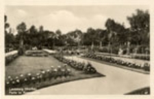 Gorzów Wlkp. / Landsberg (Warthe); Partie im Rosengarten