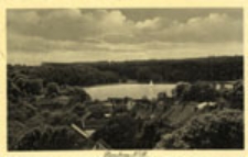 Torzym / Sternberg N/M.