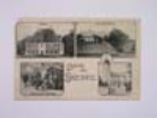 Brzeźnica / Briesnitz