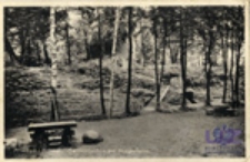 Przewóz / Priebus i. Schles.; Freilichtbühne am Hungerturm