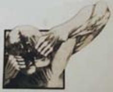 Wnęka VIII - lekcja