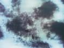 Niebo czasu domyślnego