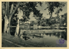 Krosno Odrzańskie; Widok znad Odry