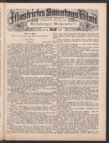 Illustrirtes Sonntags Blatt: W&ouml;chentliche Beilage zum Gr&uuml;nberger Wochenblatt, No. 23. (1877)
