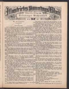 Illustrirtes Sonntags Blatt: W&ouml;chentliche Beilage zum Gr&uuml;nberger Wochenblatt, No. 29. (1877)
