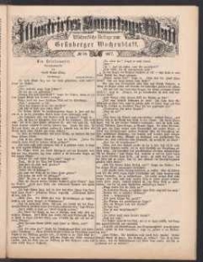 Illustrirtes Sonntags Blatt: W&ouml;chentliche Beilage zum Gr&uuml;nberger Wochenblatt, No. 30. (1877)