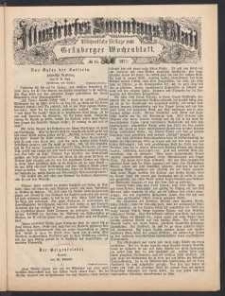 Illustrirtes Sonntags Blatt: W&ouml;chentliche Beilage zum Gr&uuml;nberger Wochenblatt, No. 45. (1877)