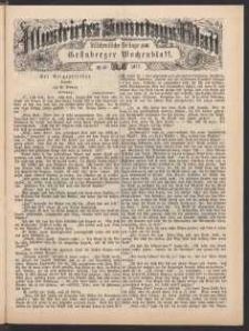 Illustrirtes Sonntags Blatt: W&ouml;chentliche Beilage zum Gr&uuml;nberger Wochenblatt, No. 46. (1877)