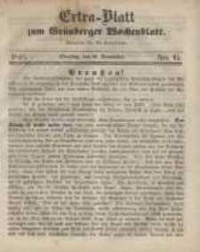 Extra - Blatt zum Gr&uuml;nberger Wochenblatt, No. 95. (21. November 1848)