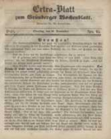 Extra - Blatt zum Grünberger Wochenblatt, No. 95. (21. November 1848)