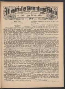 Illustrirtes Sonntags Blatt: Wöchentliche Beilage zum Grünberger Wochenblatt, No. 5. (1879)