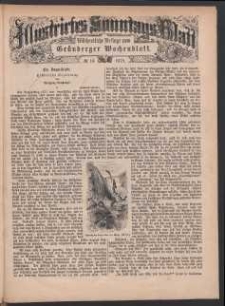 Illustrirtes Sonntags Blatt: Wöchentliche Beilage zum Grünberger Wochenblatt, No. 14. (1879)