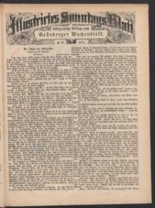 Illustrirtes Sonntags Blatt: Wöchentliche Beilage zum Grünberger Wochenblatt, No. 22. (1879)