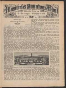 Illustrirtes Sonntags Blatt: Wöchentliche Beilage zum Grünberger Wochenblatt, No. 45. (1879)
