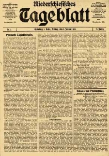 Niederschlesisches Tageblatt, no 2 (Freitag, den 3. Januar 1913)