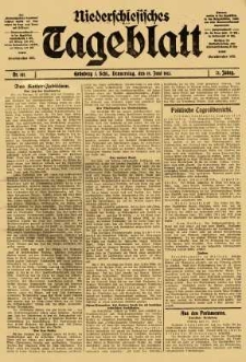 Niederschlesisches Tageblatt, no 141 (Donnerstag, den 19. Juni 1913)