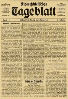 Niederschlesisches Tageblatt, no 217 (Dienstag, den 16. September 1913)
