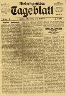 Niederschlesisches Tageblatt, no 253 (Dienstag, den 28. Oktober 1913)