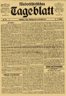 Niederschlesisches Tageblatt, no 271 (Dienstag, den 18. November 1913)
