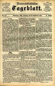 Niederschlesisches Tageblatt, no 272 (Grünberg i. Schl., Sonntag, den 20. November 1898)