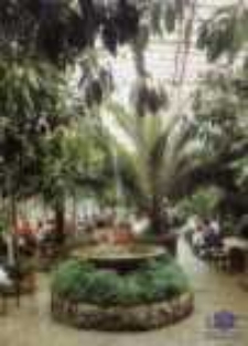 Zielona G&oacute;ra; Wnętrze kawiarni "Palmiarnia"