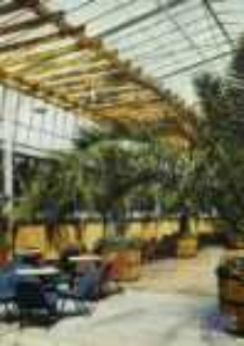 Zielona G&oacute;ra; Wnętrze kawiarni "Palmiarnia"