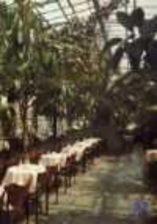 Zielona G&oacute;ra; Wnętrze kawiarni "Palmiarnia"