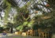 Zielona Góra; Palmiarnia