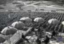 Zielona Góra; Kawiarnia "Palmiarnia" w Parku Winnym