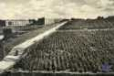 Zielona G&oacute;ra; Park Winny