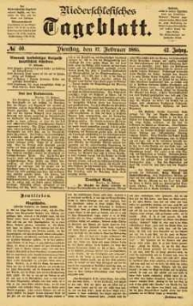 Niederschlesisches Tageblatt, no 40 (Dienstag, den 17. Februar 1885)
