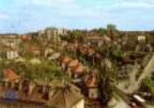 Zielona Góra; Osiedle domków jednorodzinnych